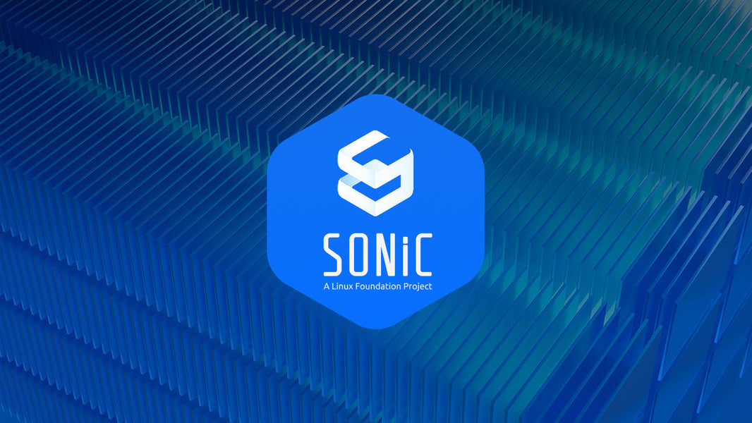 Leveraging SONiC for Scalable, High-Performance Network Infrastructures